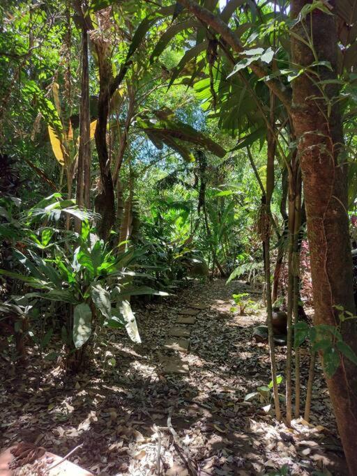 Eco Villas Tambor Tucanes Buitenkant foto