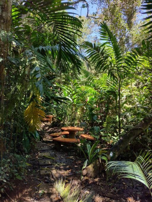 Eco Villas Tambor Tucanes Buitenkant foto