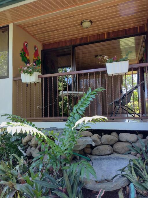 Eco Villas Tambor Tucanes Buitenkant foto