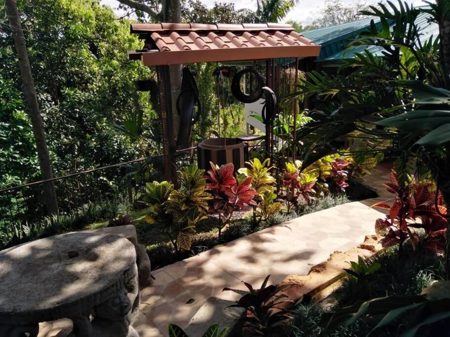 Eco Villas Tambor Tucanes Buitenkant foto