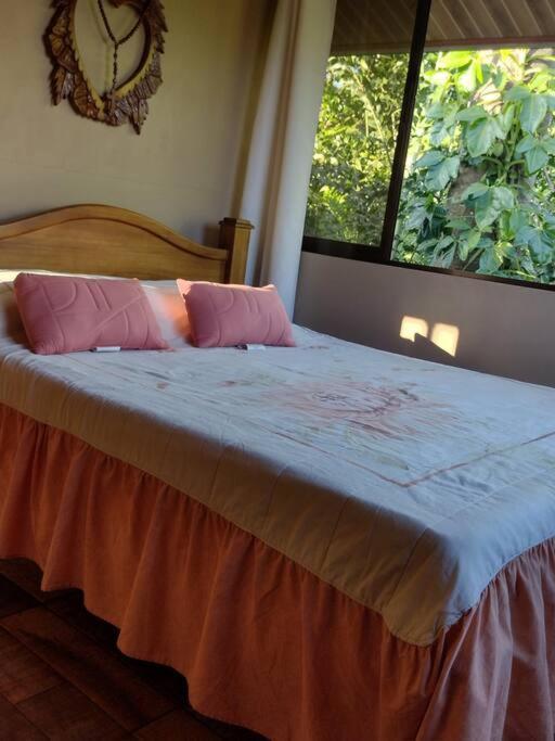 Eco Villas Tambor Tucanes Buitenkant foto