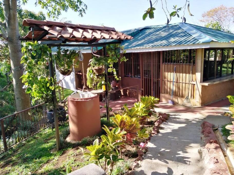 Eco Villas Tambor Tucanes Buitenkant foto