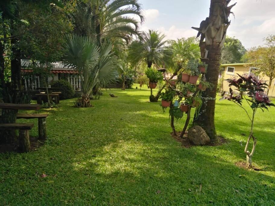 Eco Villas Tambor Tucanes Buitenkant foto
