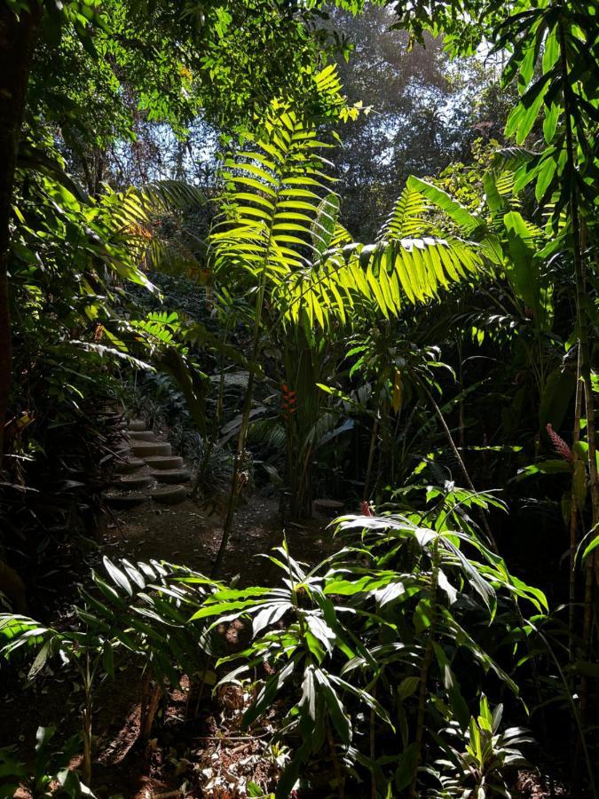 Eco Villas Tambor Tucanes Buitenkant foto