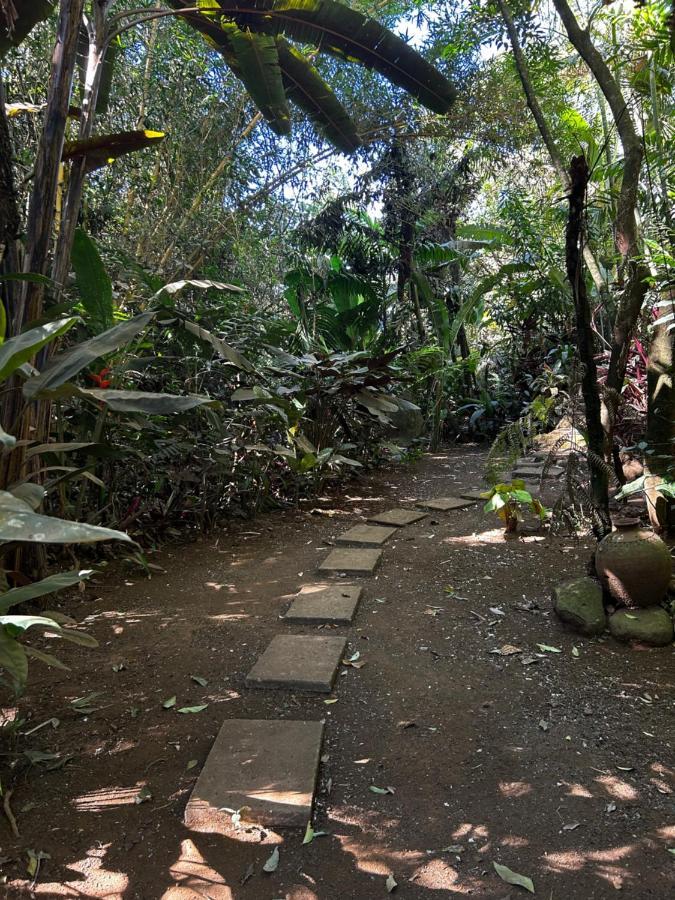 Eco Villas Tambor Tucanes Buitenkant foto