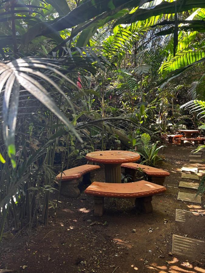 Eco Villas Tambor Tucanes Buitenkant foto