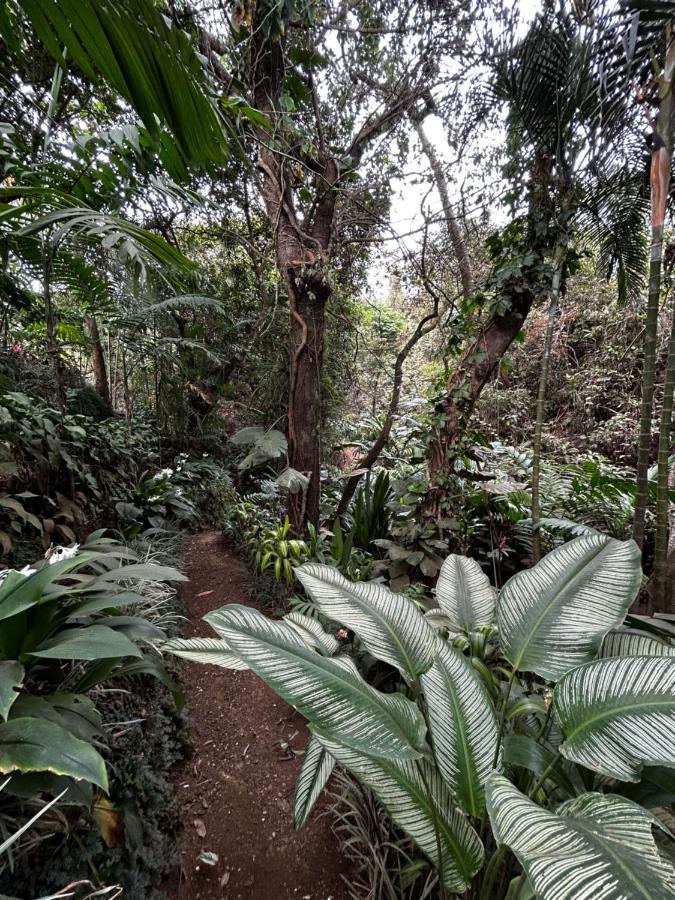 Eco Villas Tambor Tucanes Buitenkant foto