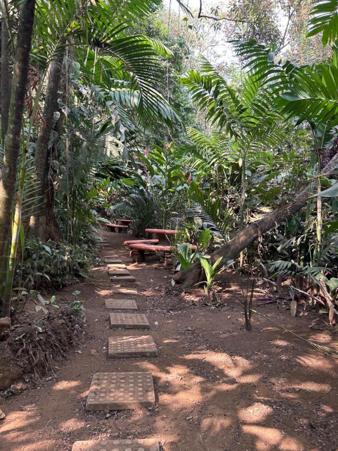 Eco Villas Tambor Tucanes Buitenkant foto