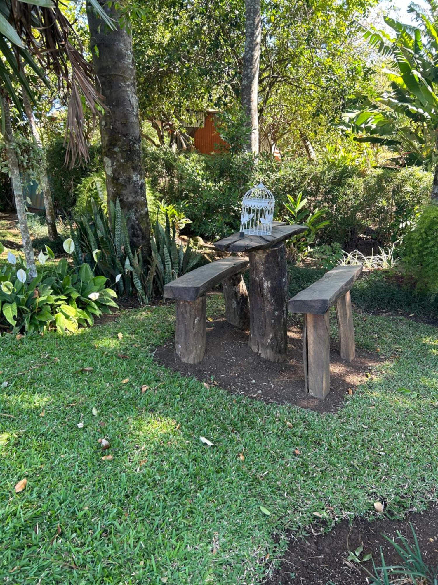 Eco Villas Tambor Tucanes Buitenkant foto