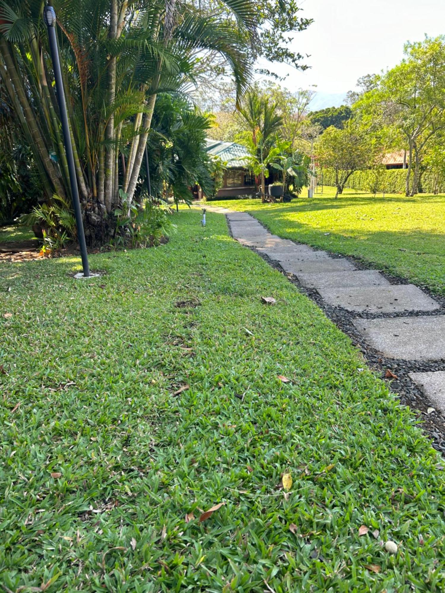 Eco Villas Tambor Tucanes Buitenkant foto