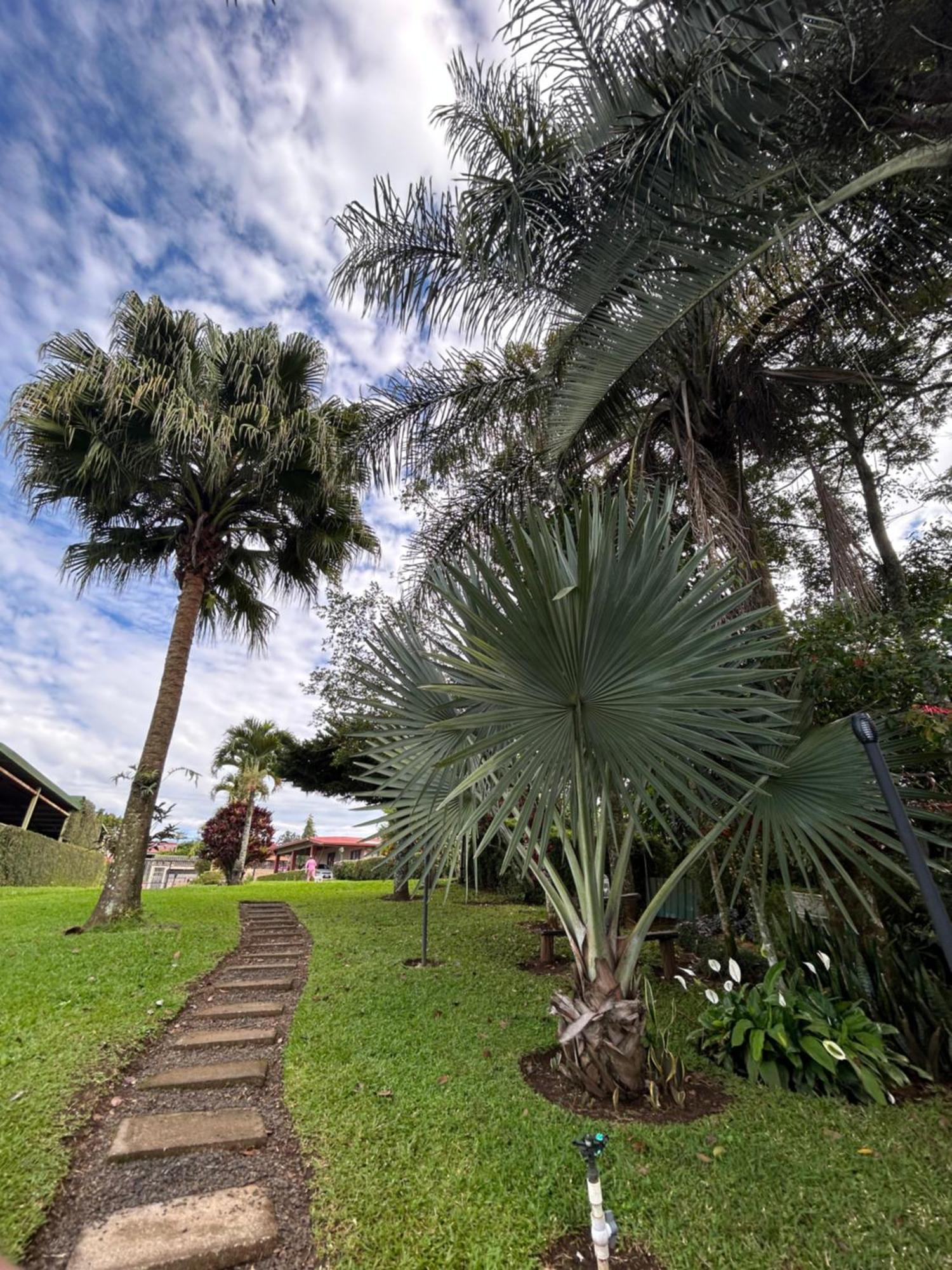Eco Villas Tambor Tucanes Buitenkant foto