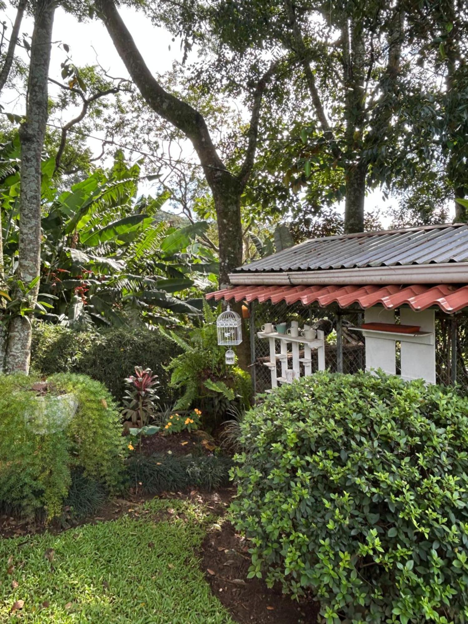 Eco Villas Tambor Tucanes Buitenkant foto