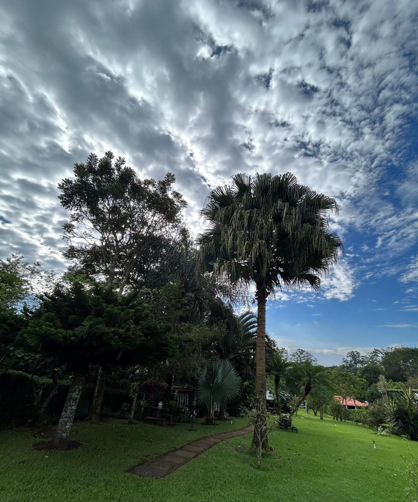 Eco Villas Tambor Tucanes Buitenkant foto